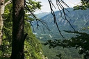 _DSC0474